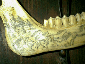 Detailed View